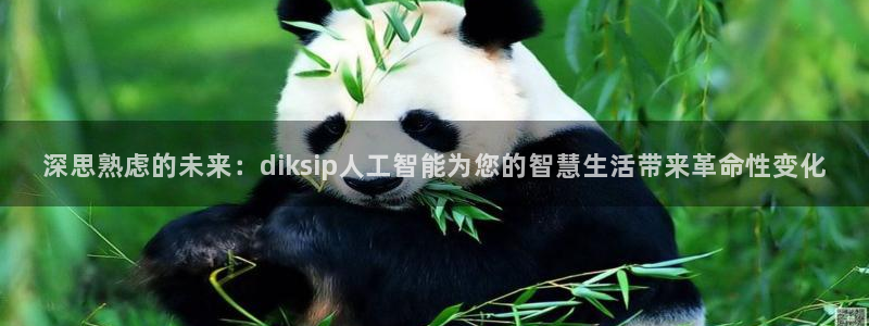 深思熟虑的未来：diksip人工智能为您的智慧生活带来革命性变化
