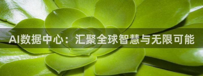 AI数据中心：汇聚全球智慧与无限可能
