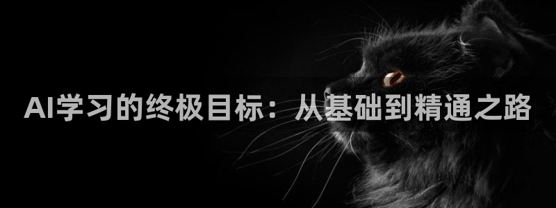 AI学习的终极目标：从基础到精通之路