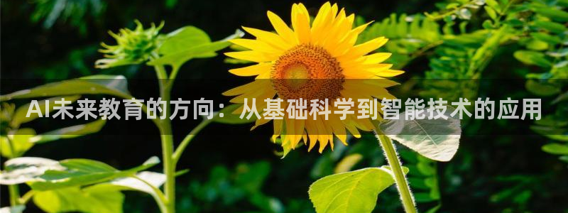 AI未来教育的方向：从基础科学到智能技术的应用