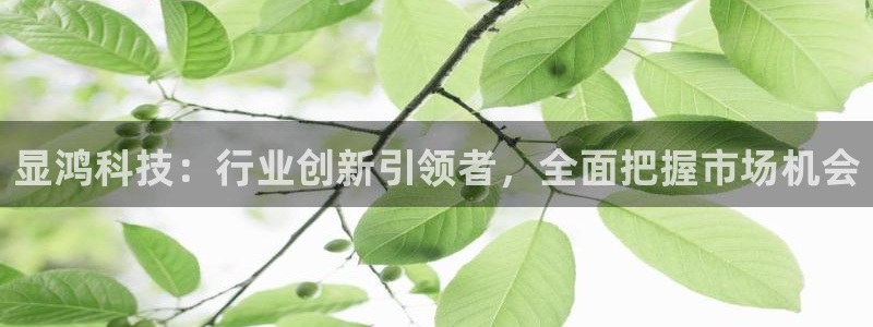 显鸿科技：行业创新引领者，全面把握市场机会