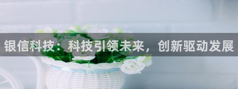 银信科技：科技引领未来，创新驱动发展