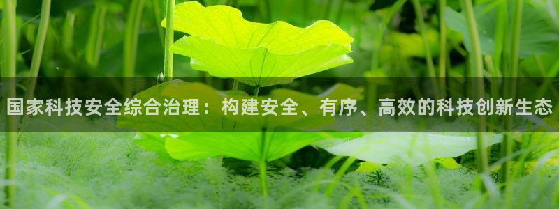 国家科技安全综合治理：构建安全、有序、高效的科技创新生态