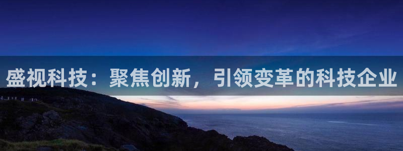 盛视科技：聚焦创新，引领变革的科技企业