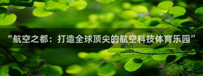 “航空之都：打造全球顶尖的航空科技体育乐园”