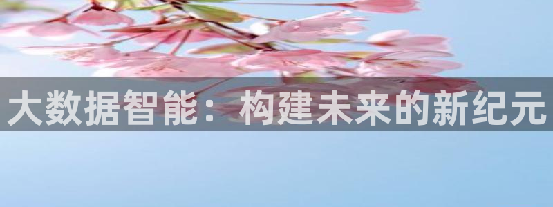 大数据智能：构建未来的新纪元