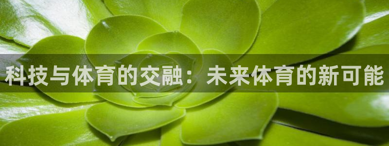 科技与体育的交融：未来体育的新可能