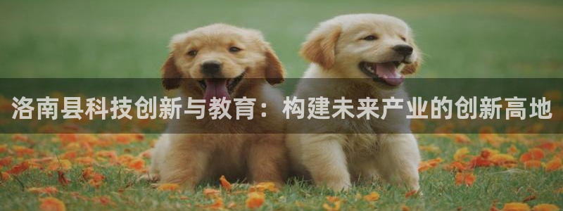 洛南县科技创新与教育：构建未来产业的创新高地