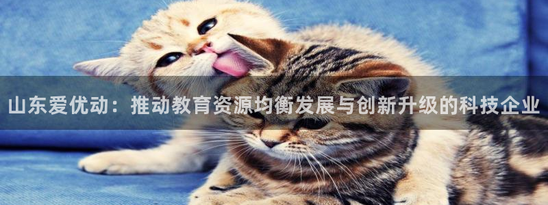 山东爱优动：推动教育资源均衡发展与创新升级的科技企业
