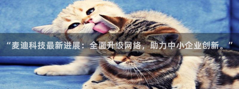 “麦迪科技最新进展：全面升级网络，助力中小企业创新。”