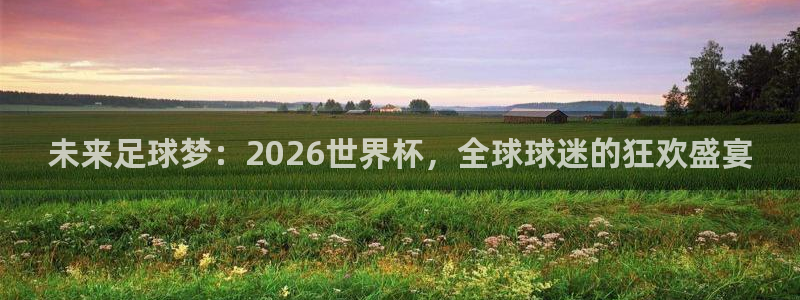 未来足球梦：2026世界杯，全球球迷的狂欢盛宴