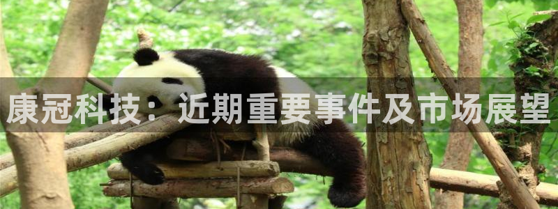 康冠科技：近期重要事件及市场展望