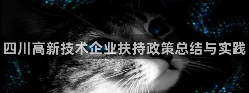 四川高新技术企业扶持政策总结与实践