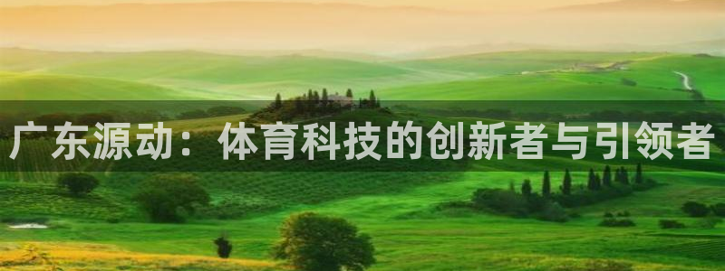 广东源动：体育科技的创新者与引领者