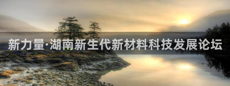 新力量·湖南新生代新材料科技发展论坛