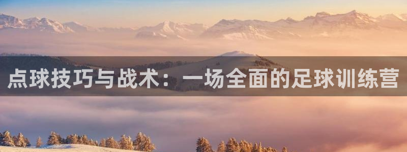 点球技巧与战术：一场全面的足球训练营