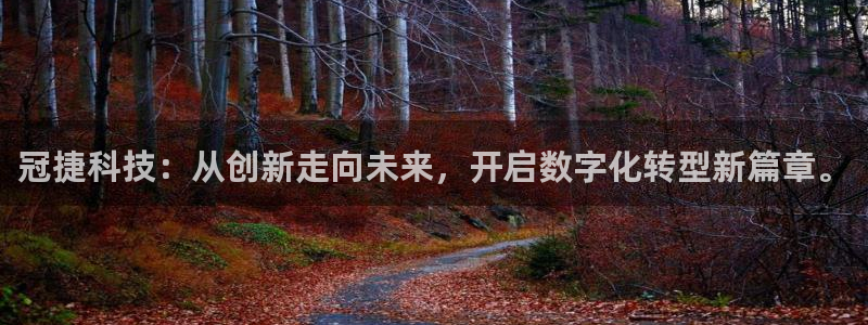 冠捷科技：从创新走向未来，开启数字化转型新篇章。