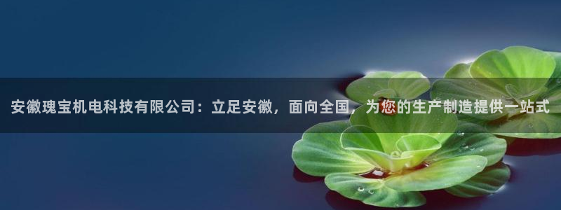 安徽瑰宝机电科技有限公司：立足安徽，面向全国，为您的生产制造提供一站式