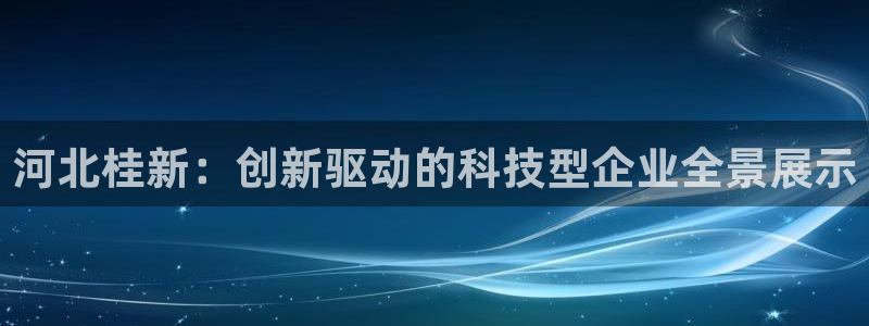 河北桂新：创新驱动的科技型企业全景展示
