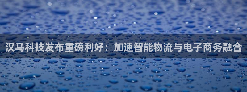 汉马科技发布重磅利好：加速智能物流与电子商务融合