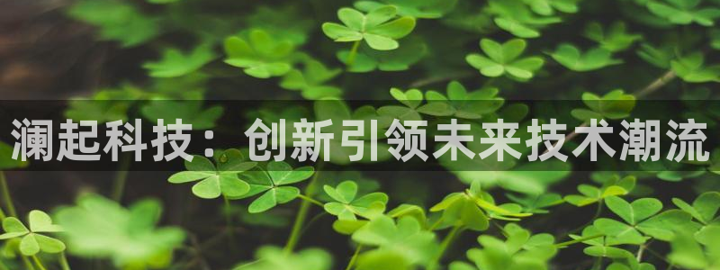 澜起科技：创新引领未来技术潮流