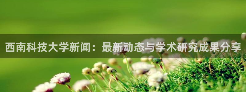 西南科技大学新闻：最新动态与学术研究成果分享