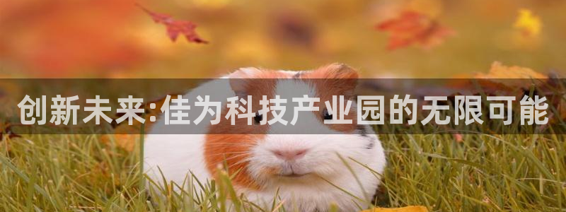 创新未来:佳为科技产业园的无限可能