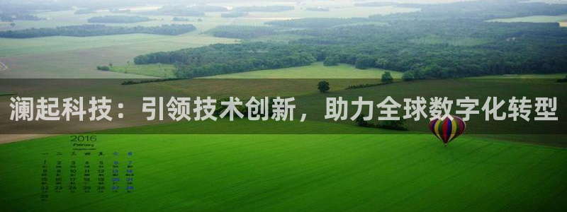 澜起科技：引领技术创新，助力全球数字化转型