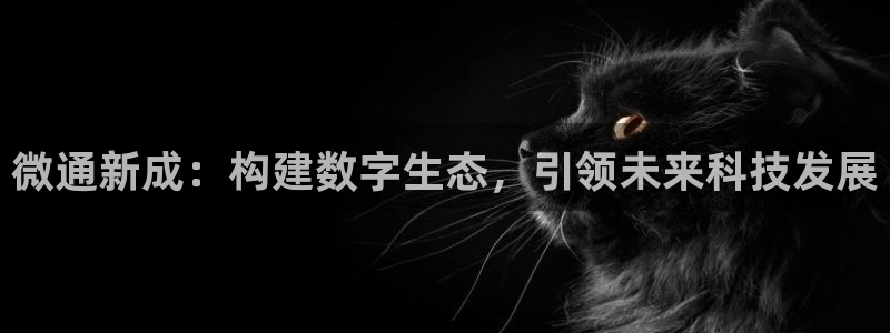 微通新成：构建数字生态，引领未来科技发展