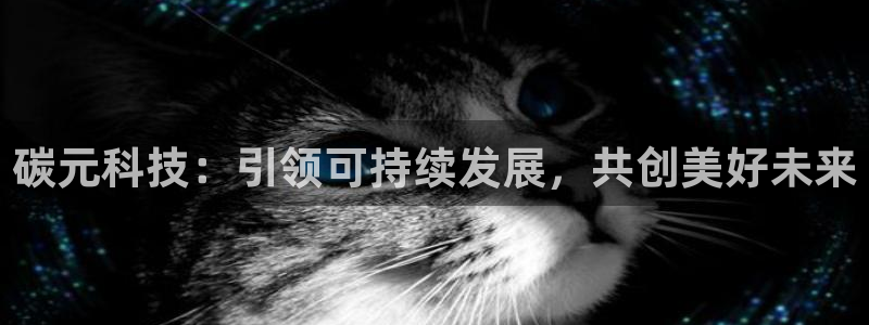 碳元科技：引领可持续发展，共创美好未来