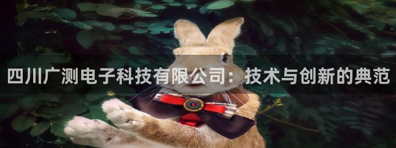四川广测电子科技有限公司：技术与创新的典范