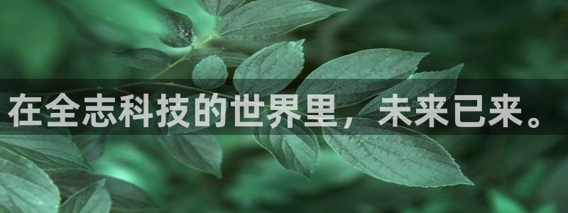 在全志科技的世界里，未来已来。