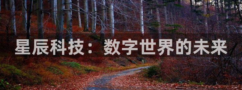 星辰科技：数字世界的未来