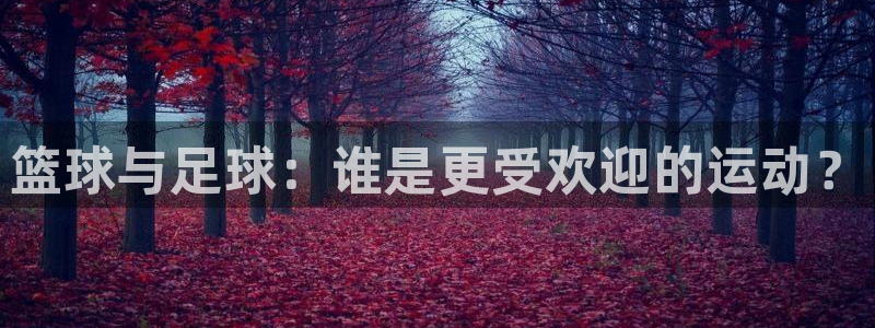 篮球与足球：谁是更受欢迎的运动？