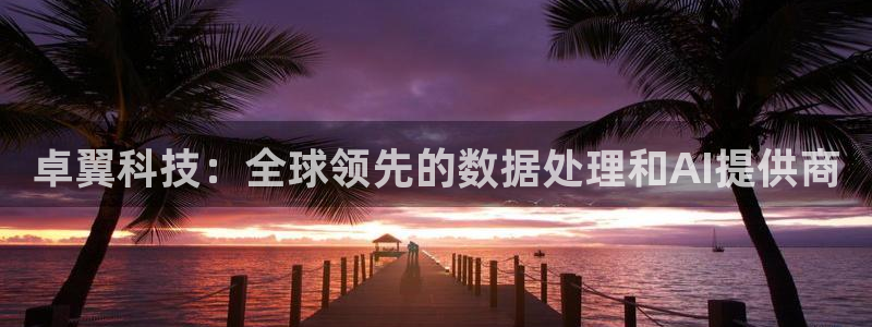 卓翼科技：全球领先的数据处理和AI提供商
