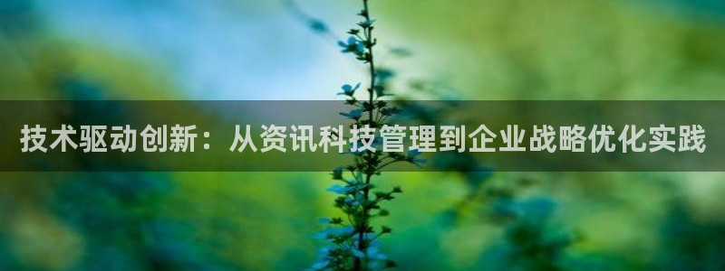 技术驱动创新：从资讯科技管理到企业战略优化实践