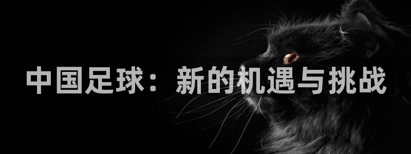 中国足球：新的机遇与挑战