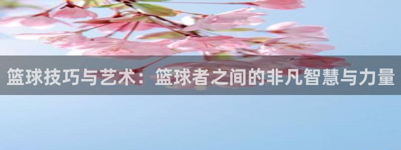 篮球技巧与艺术：篮球者之间的非凡智慧与力量